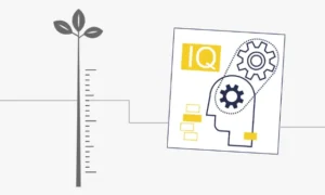اختبار مصفوفات ريفن المتقدمة (APM)